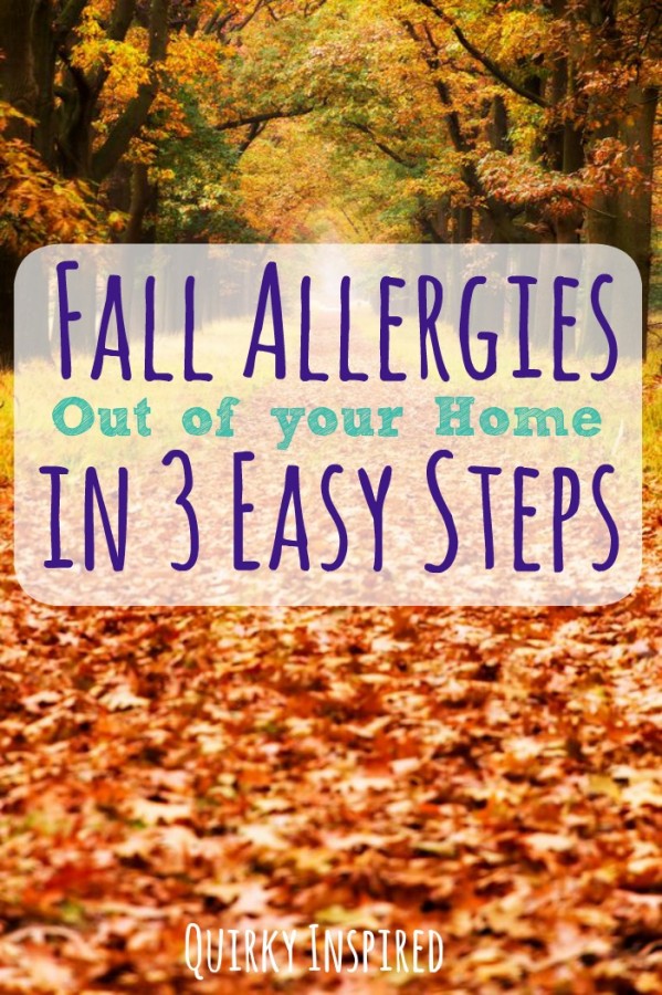 Have seasonal allergies? Check out these three easy tips to reduce fall allergies in your house this fall!