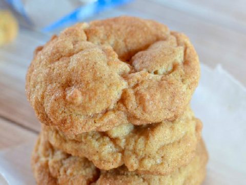 Amber Priddy Porn - Snickerdoodle Cookies without Cream Tartar + Secret Ingredient!